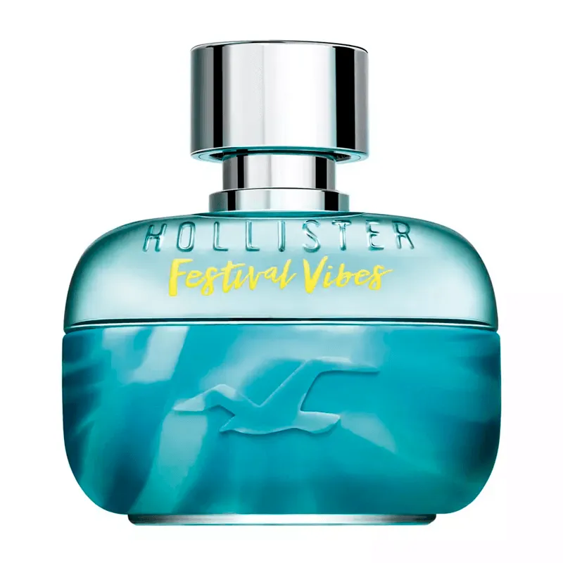 FESTIVAL VIBES FOR HIM - HOLLISTER | ESENNIA