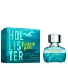 FESTIVAL VIBES FOR HIM - HOLLISTER | ESENNIA