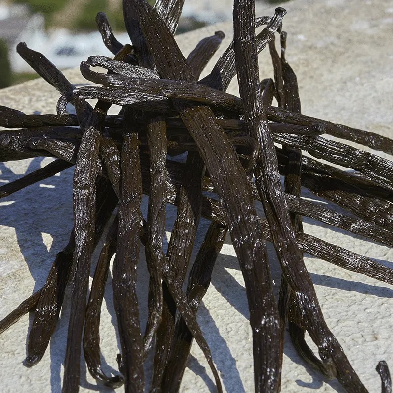 DEVOTION EDP - DOLCE GABBANA | ESENNIA