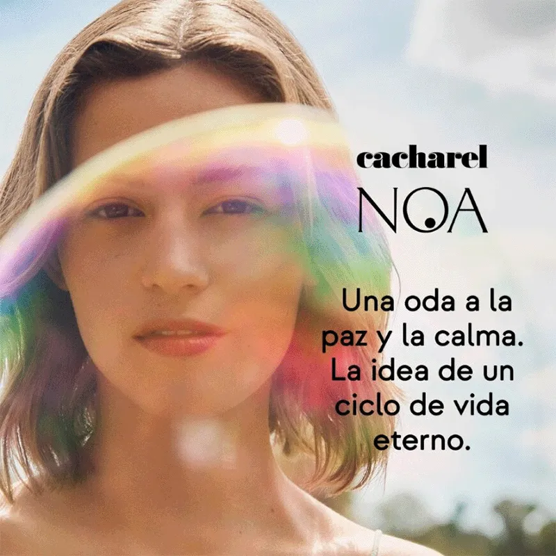 NOA - CACHAREL | ESENNIA