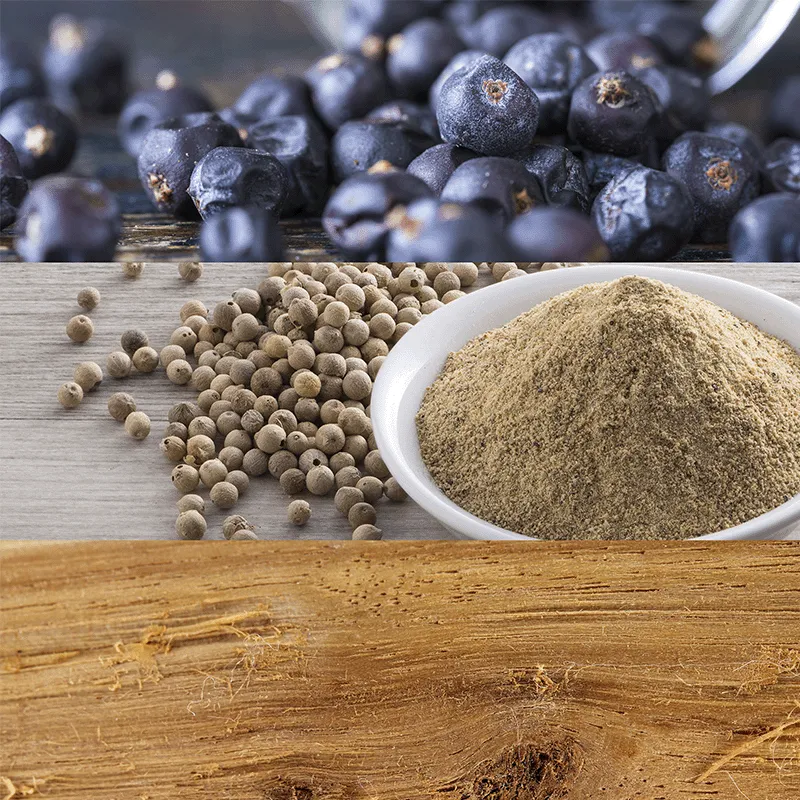 CK BE - CALVIN KLEIN | ESENNIA