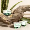 CREMA ANTIARRUGAS - ALOE VERA PREMIER | ESENNIA