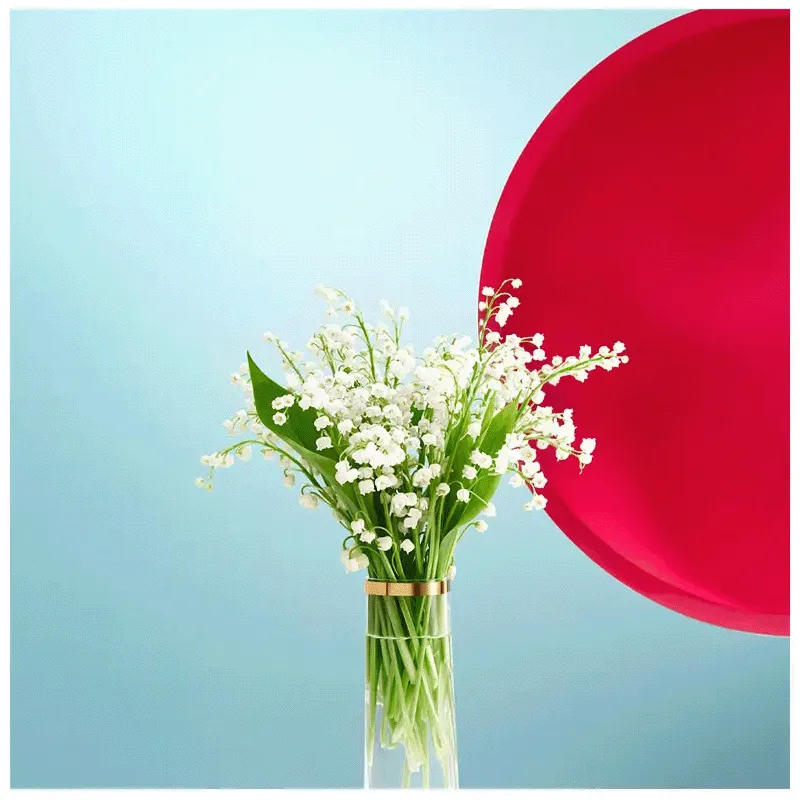 MIU MIU EAU DE PARFUM | ESENNIA