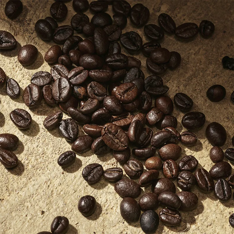 Devotion Pour Homme Dolce&Gabbana | ESENNIA