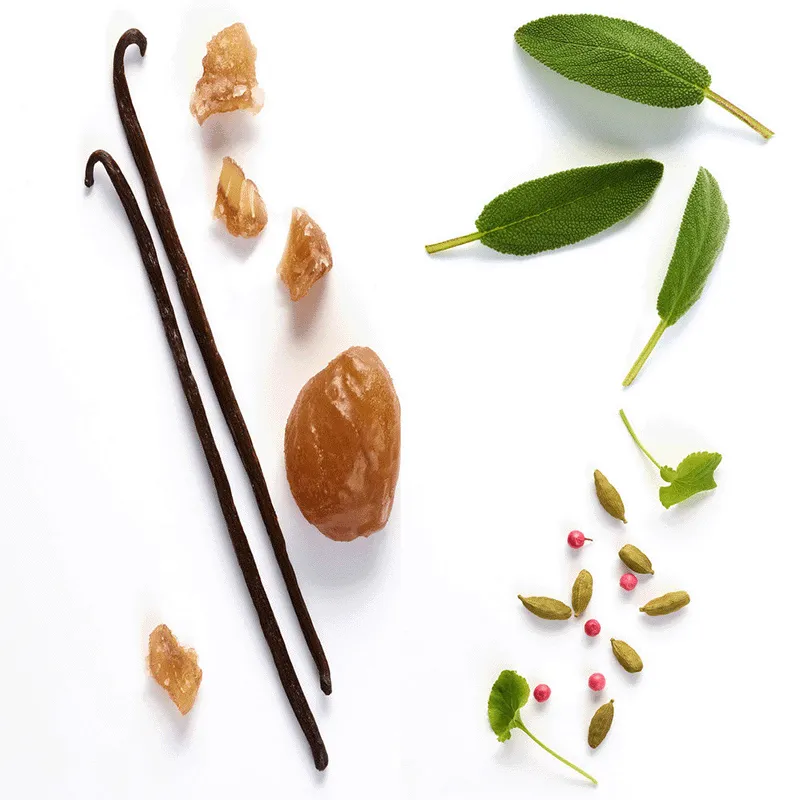 Emporio Armani Stronger With You Eau De Toilette | ESENNIA