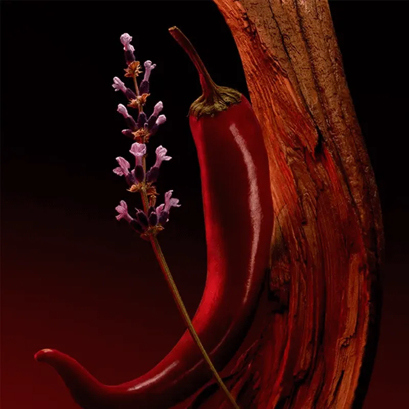 Boss The Scent Elixir For Him Hugo Boss | ESENNIA