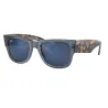 RAYBAN 6638O4 - Azul oscuro transparente | ESENNIA