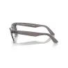 RAYBAN Wayfarer 1355R5 - Gris sobre transparente | ESENNIA