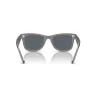 RAYBAN Wayfarer 1355R5 - Gris sobre transparente | ESENNIA