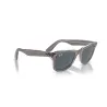 RAYBAN Wayfarer 1355R5 - Gris sobre transparente | ESENNIA