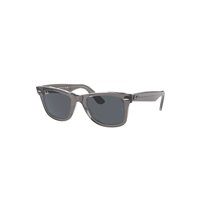 RAYBAN Wayfarer 1355R5 - Gris sobre transparente | ESENNIA