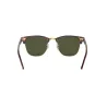 RAYBAN Clubmaster W0366 - Tortuga sobre dorado | ESENNIA
