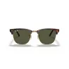 RAYBAN Clubmaster W0366 - Tortuga sobre dorado | ESENNIA
