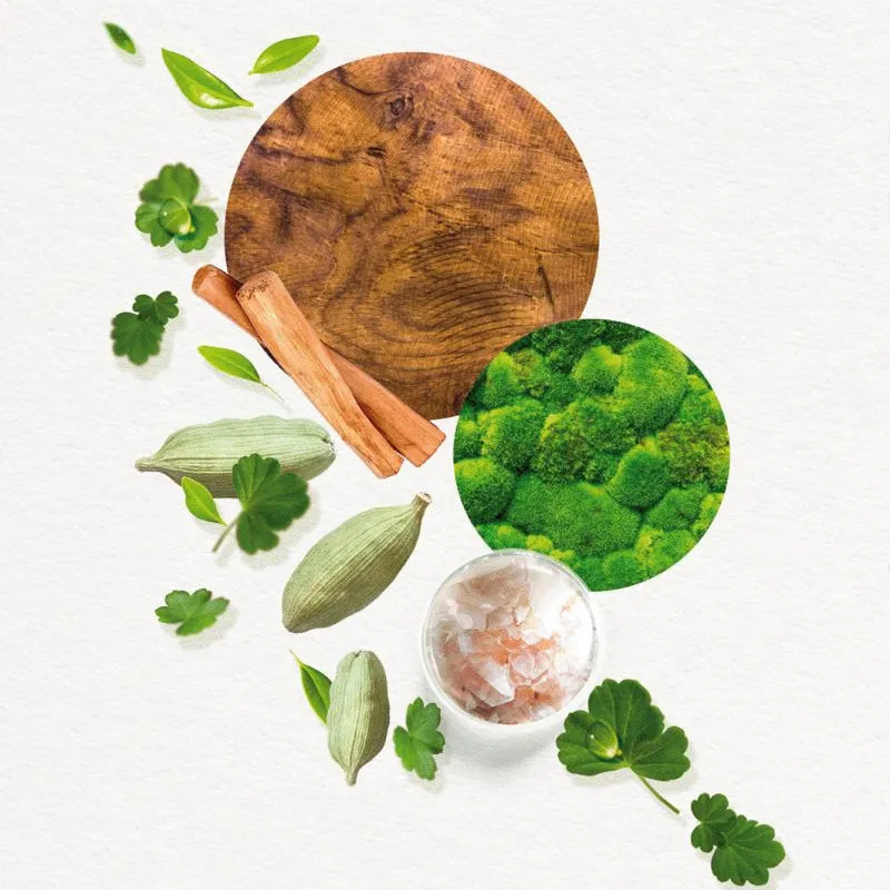 Annayake Kogai For Him Eau de Toilette | Perfume Masculino Amaderado