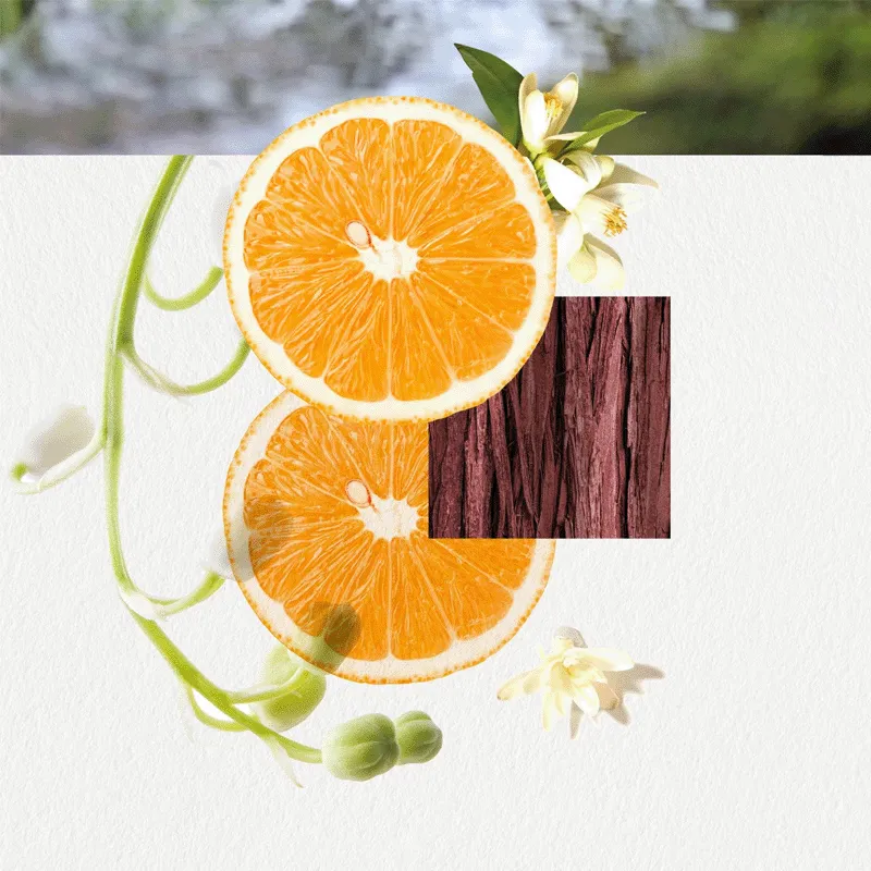 Annayake Omizu for Her EDP | Perfume Femenino