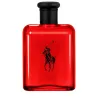 POLO RED - RALH LAUREN | ESENNIA