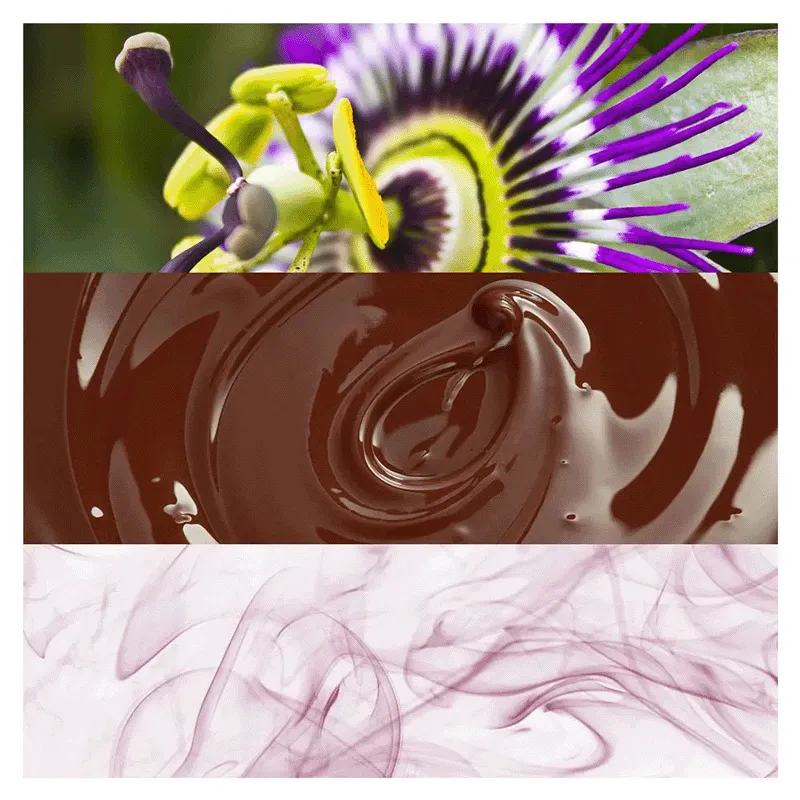 ONE SHOCK FOR HER | CALVIN KLEIN | ESENNIA