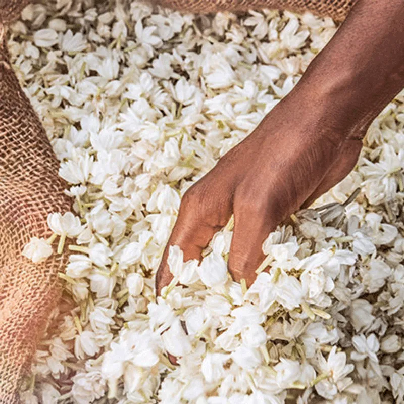 ALIEN WOMAN EDT | ESENNIA