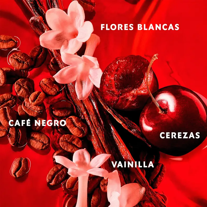 BLACK OPIUM OVER RED - YSL | ESENNIA