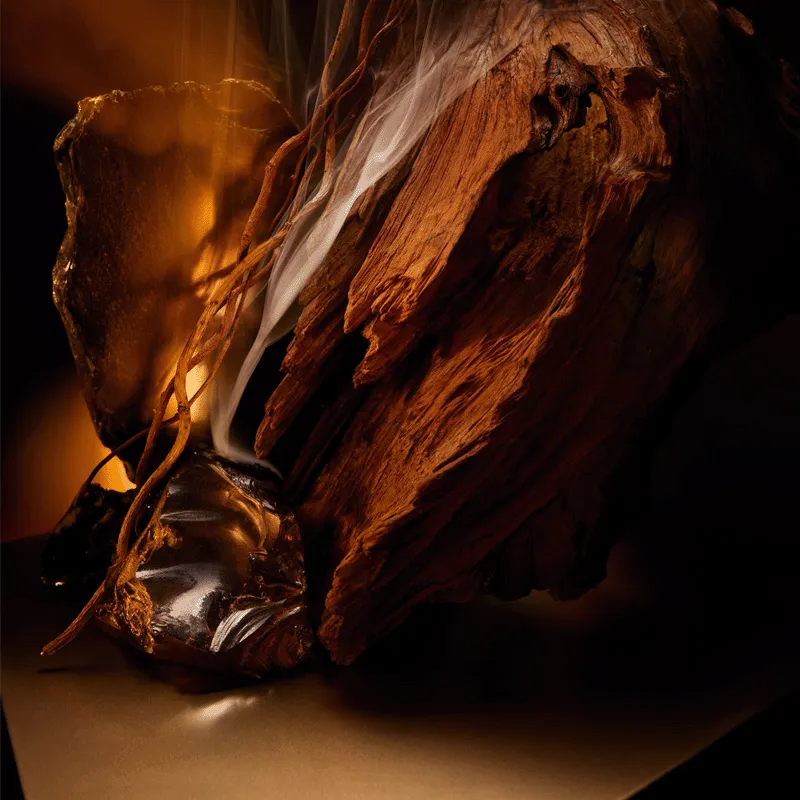 BOSS BOTTLED ELIXIR - HUGO BOSS | ESENNIA