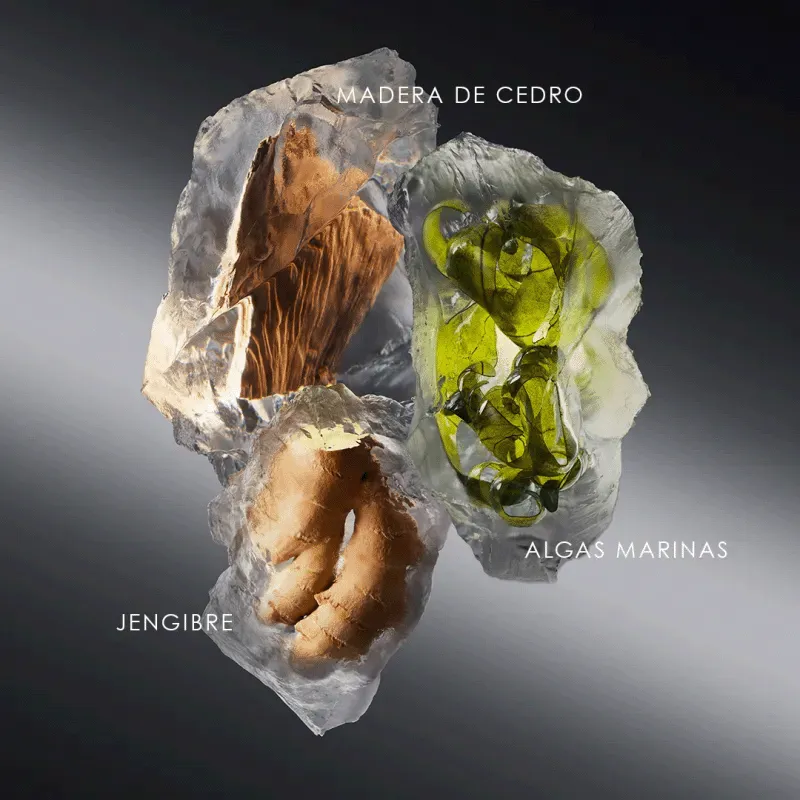 ISSEY MIYAKE LE SEL D'ISSEY EDT | ESENNIA