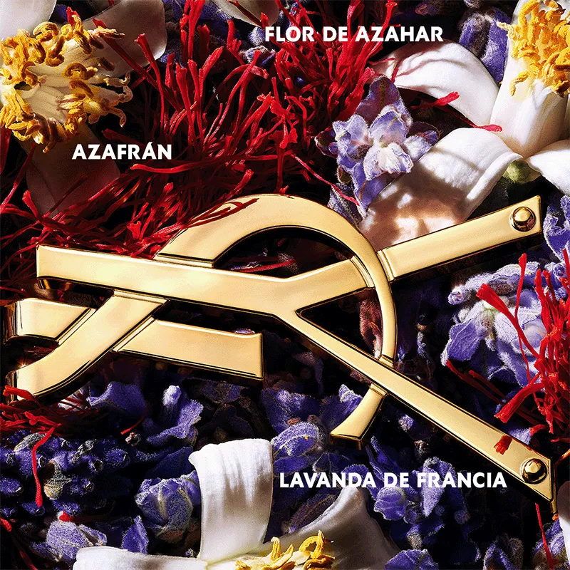 Libre Le Parfum Yves Saint Laurent | ESENNIA