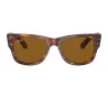 RAYBAN 954/33 - Habana a rayas | ESENNIA