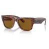 RAYBAN 954/33 - Habana a rayas | ESENNIA