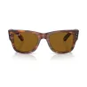 RAYBAN 954/33 - Habana a rayas | ESENNIA