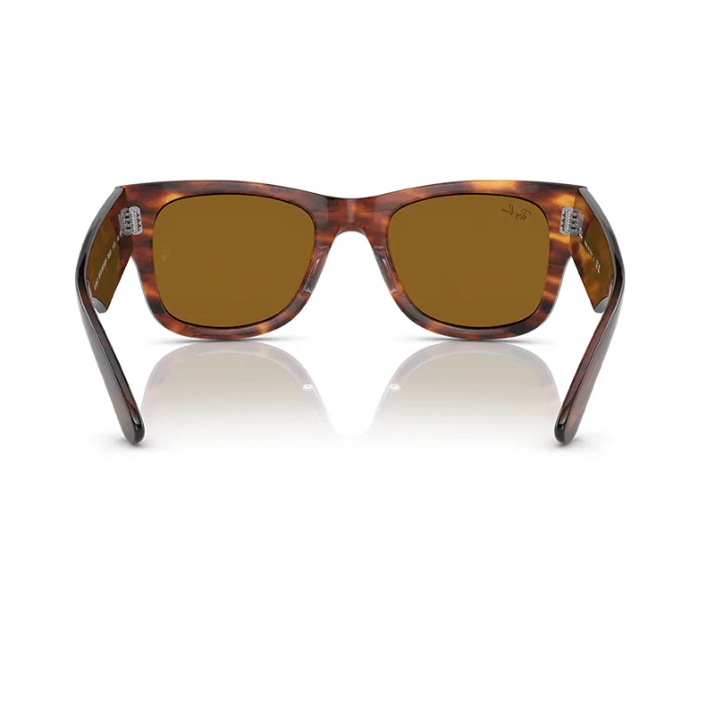 RAYBAN 954/33 - Habana a rayas | ESENNIA