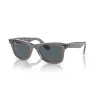 RAYBAN Wayfarer 1355R5 - Gris sobre transparente | ESENNIA