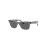 RAYBAN Wayfarer 1355R5 - Gris sobre transparente | ESENNIA