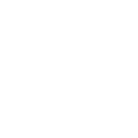 SHISEIDO