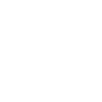 ROBERTO CAVALLI