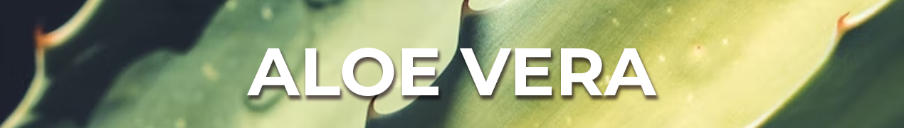 banner aloe