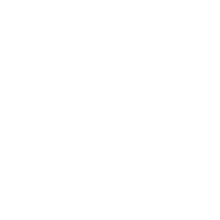 NINA RICCI