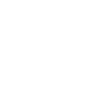MANDARINA DUCK