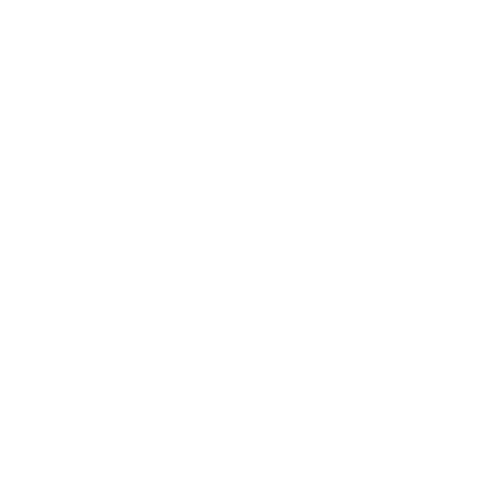 ARNETTE